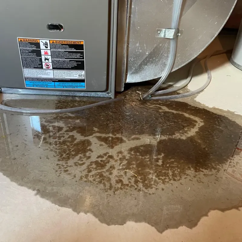 Appliance Leak Cleanup in Marion, NC